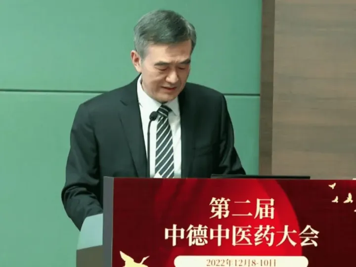 Speaker at the lectern bearing the logo of the 2nd German-Chinese TCM Conference